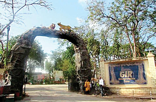 Gir National Park and Wildlife Sanctuary, Gujarat