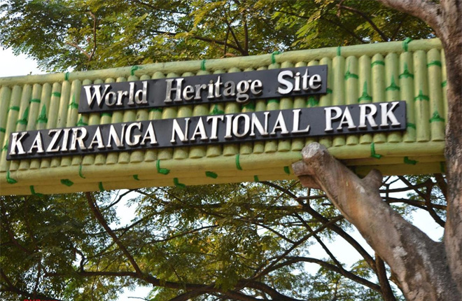 Kaziranga National Park, Assam