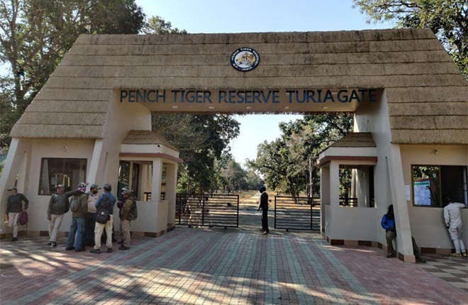 Pench National Park, Madhya Pradesh