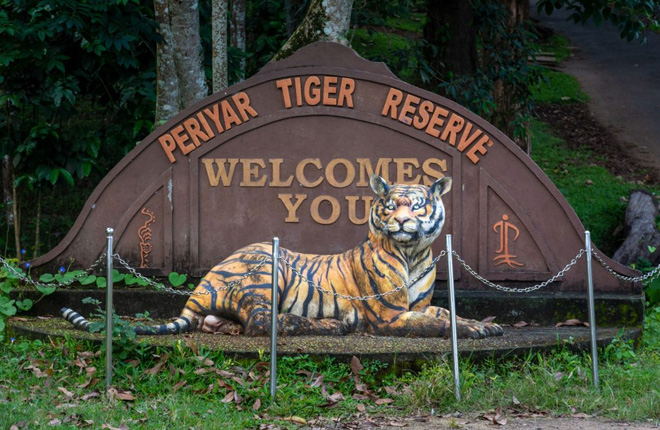 Periyar National Park, Kerala