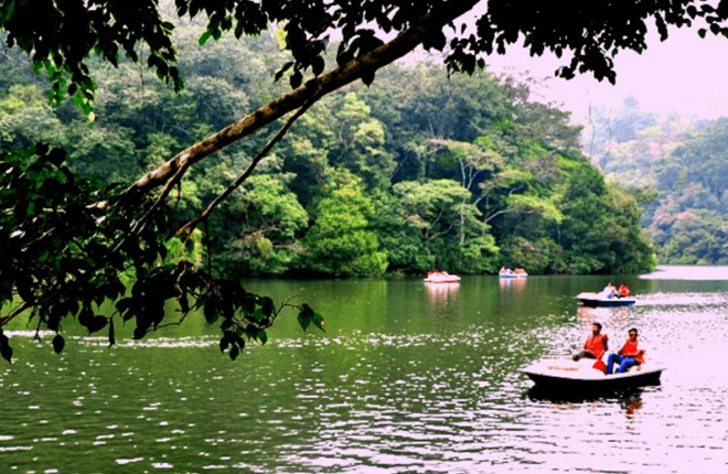 Wayanad